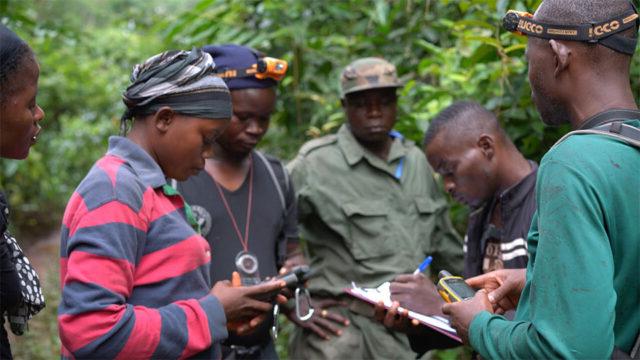 Female ecoguards collect biomonitoring data in Liberia’s Grebo-Krahn Forest